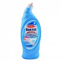 Magiclean Toilet Bleach Dp 650ml-B