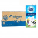 Dutch Lady UHT Full Cream Milk 1 Carton (12 x 1L)