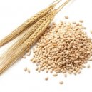 Barley Pearl 400G