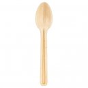 Palm Spoon