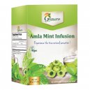 Grenera Amla Mint Infusion 40gm