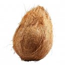 Coconut No Exchange