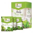 Grenera Amla Mint Infusion Tea Bags 40gm