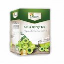 Grenera Amla Berry Infusion Tea Bags 40gm