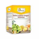 Grenera Amla Lemon Ginger Infusion Tea Bags 40gm