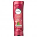 Herbal Essences LTR Conditioner 300ml