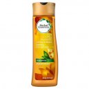 Herbal Essences With Honey Shampoo 300ml