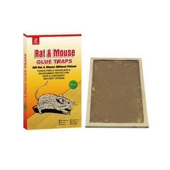 Rat Trap Board