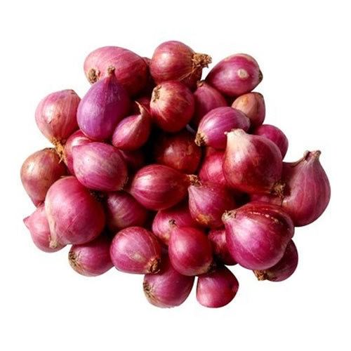 Onion Small